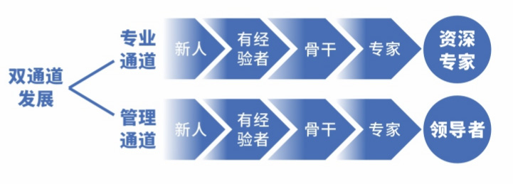 1747618945872254.jpg 人才培养计划2.jpg